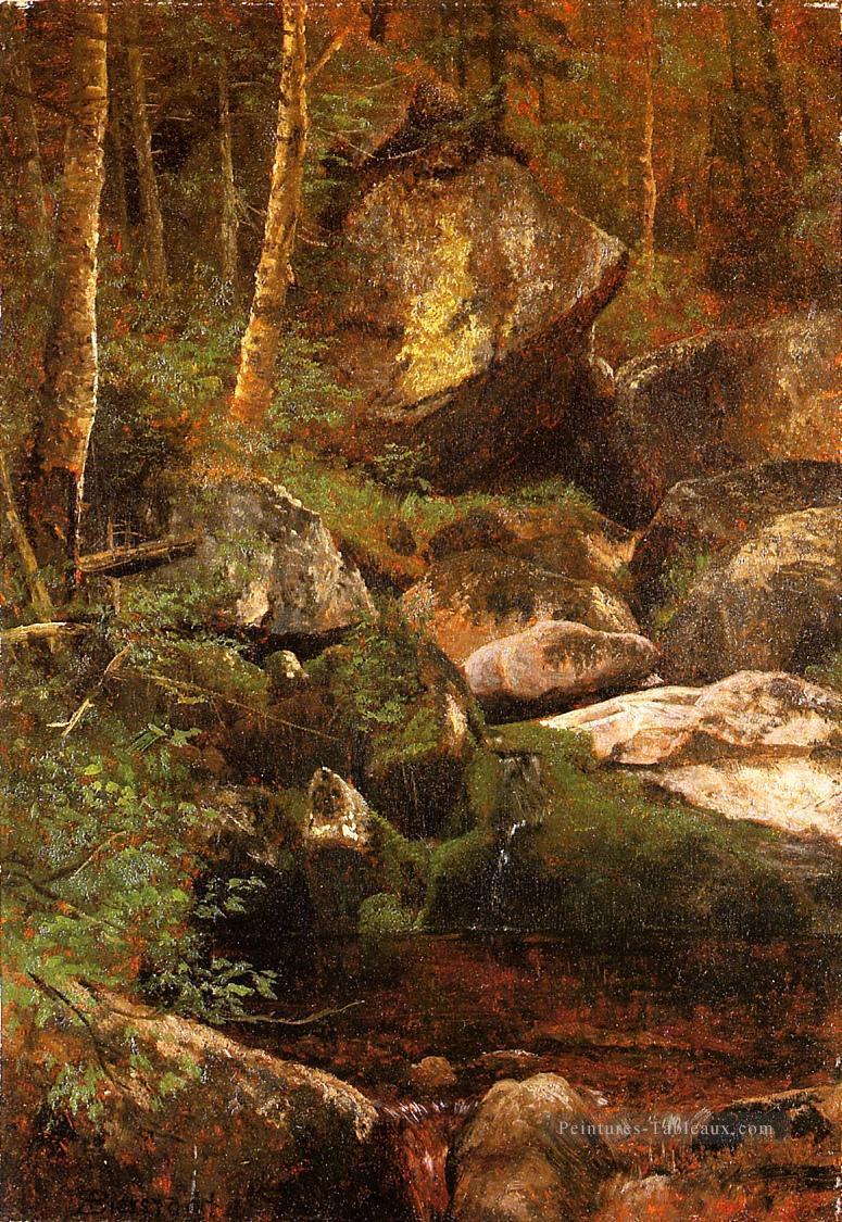 Ruisseau de la forêt Albert Bierstadt Peintures à l'huile